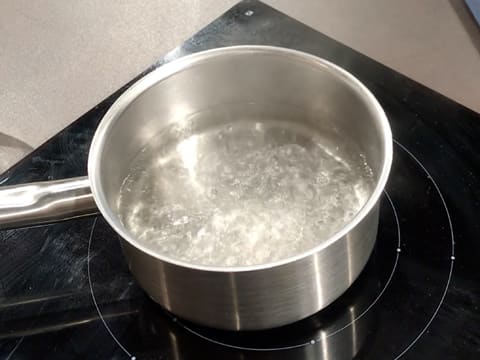 Une casserole est posée sur une plaque de cuisson et contient de l'eau en ébullition