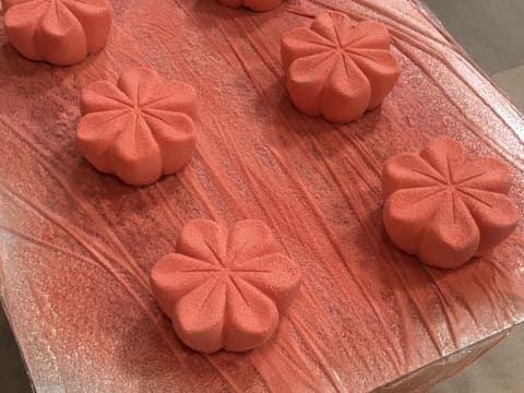 Mini-entremets rhubarbe, litchi, thé Matcha - 100