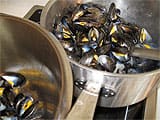 Moules au safran - 5