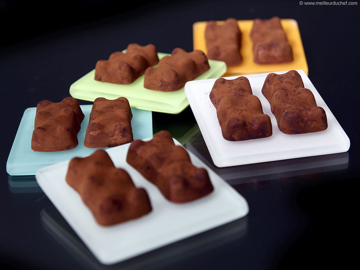 14 moules en silicone oursons guimauve-chocolat