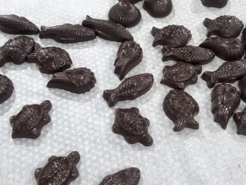 Moulage en chocolat du poisson boule - 69