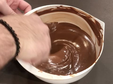 Moulage en chocolat du poisson boule - 7