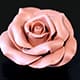 Rose en chocolat plastique