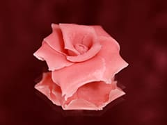 Rose en Pâte d'amande