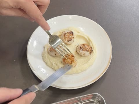 Noix de Saint-Jacques snackées, purée de panais à la vanille, chips de jambon et truffe - 46