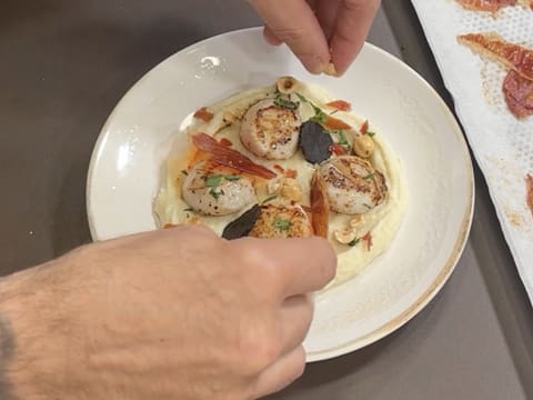 Noix de Saint-Jacques snackées, purée de panais à la vanille, chips de jambon et truffe - 50