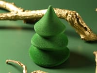 Sapin de Noël fourré à la noisette