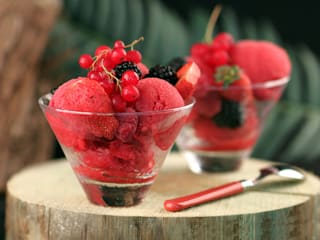 Sorbet aux fruits des bois