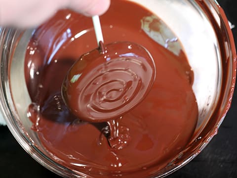 Sucettes à la menthe enrobées de chocolat - 31