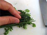 Tartare de légumes croquants au cumin - 7