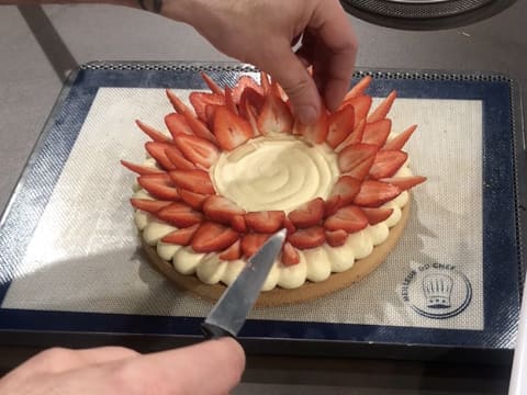 Tarte à la fraise sur son moelleux noisette - 106