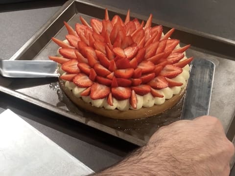 Tarte à la fraise sur son moelleux noisette - 111