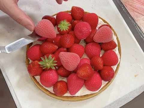 Tarte aux fraises "Fragola" - 155