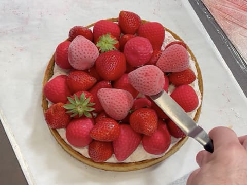 Tarte aux fraises "Fragola" - 156