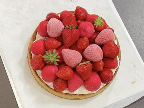 Tarte aux fraises "Fragola" - 158