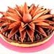 Tarte au chocolat comme un bouquet