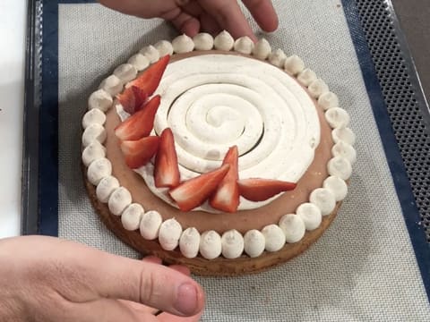 Tarte à la fraise et à la rhubarbe - 129