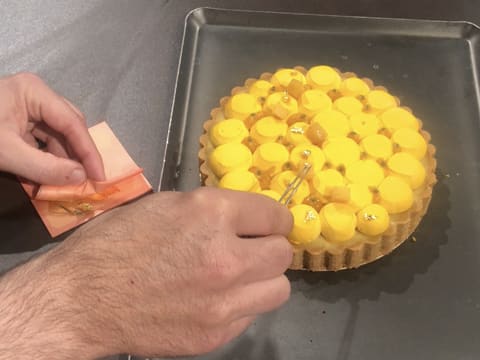 Tarte mangue et fruit de la passion - 135