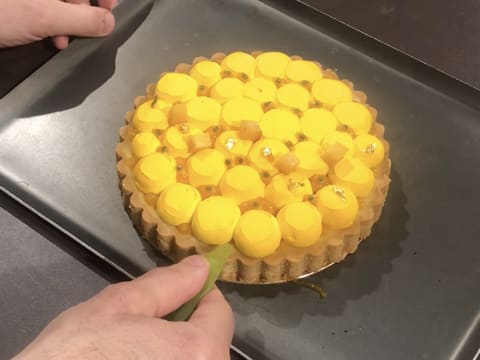 Tarte mangue et fruit de la passion - 136