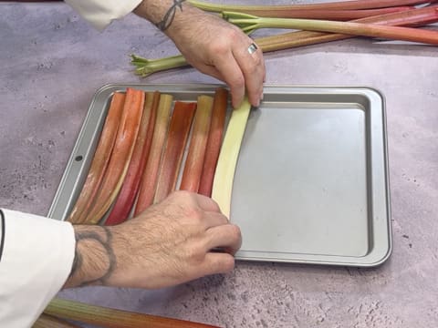 Tarte à la rhubarbe facile - 19