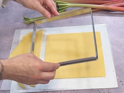 Tarte à la rhubarbe facile - 23