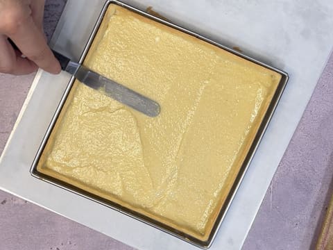 Tarte à la rhubarbe facile - 39