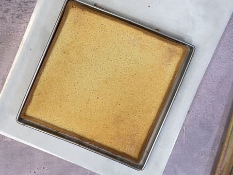 Tarte à la rhubarbe facile - 40