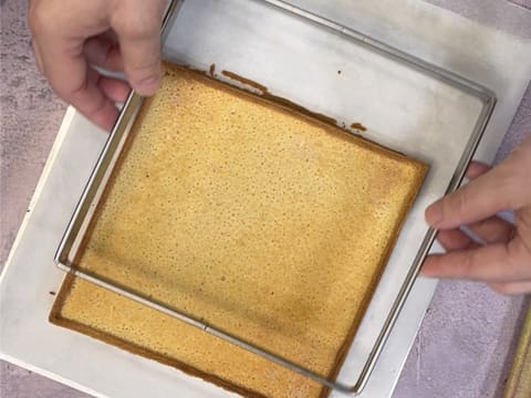 Tarte à la rhubarbe facile - 41