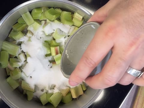 Tarte à la rhubarbe facile - 45