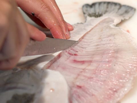 Turbot à la mousseline de Saint-Jacques et girolles sur son écrasé de potimarron - 9