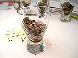 Verrine de foie gras aux lentilles - 13