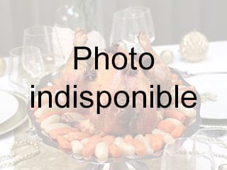 Galantine de poulet