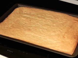 Birthday Cake Illustrated Recipe Meilleur Du Chef