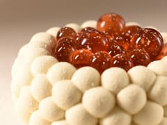 Blueberry, Chocolate & Vanilla Entremets