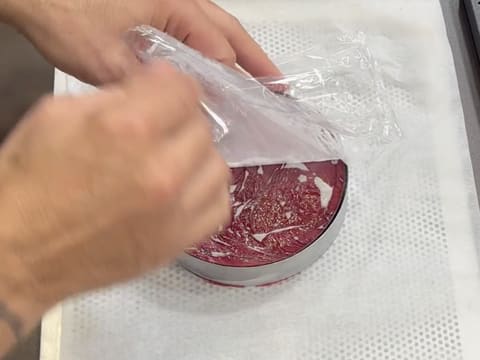 Blueberry, Chocolate & Vanilla Entremets - 131