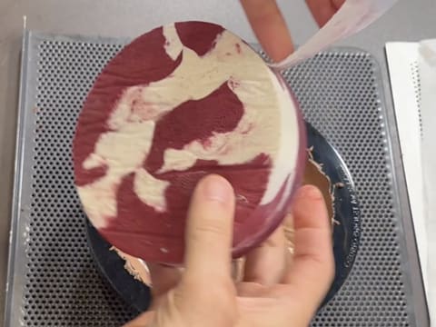 Blueberry, Chocolate & Vanilla Entremets - 133