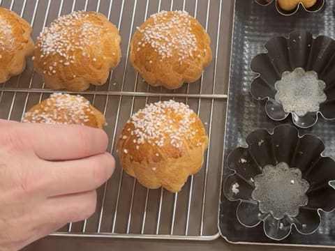 Brioche Buns with Pearl Sugar - 39