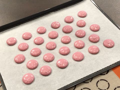 Morello Cherry & Kirsch Macarons - 23