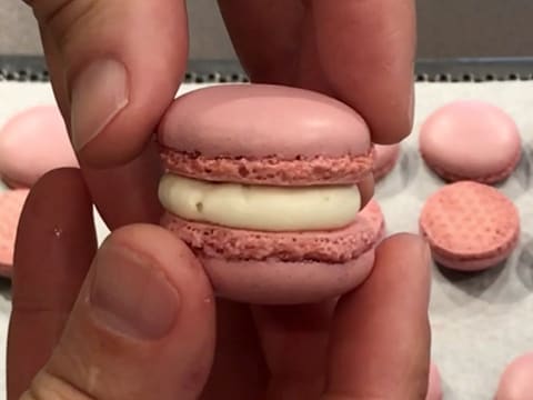 Morello Cherry & Kirsch Macarons - 54