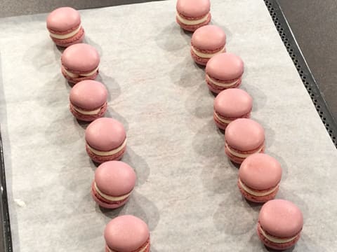 Morello Cherry & Kirsch Macarons - 60