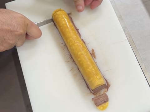 Chocolate & Exotic Fruit Christmas Yule Log - 98