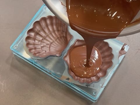 Chocolate Scallop - 36