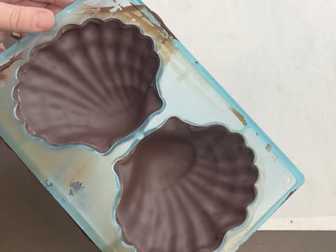 Chocolate Scallop - 42