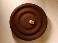 Dark Chocolate & Vanilla Pecan Praline Entremets