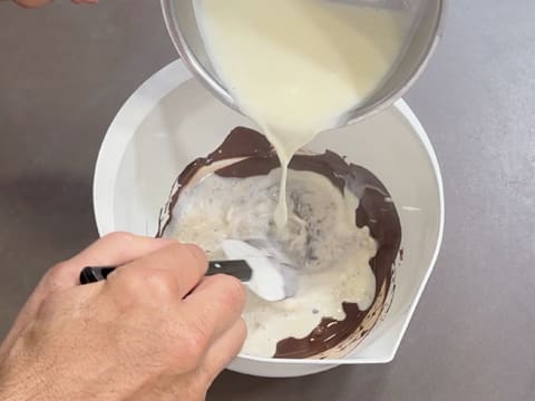 Dark Chocolate & Vanilla Pecan Praline Entremets - 146