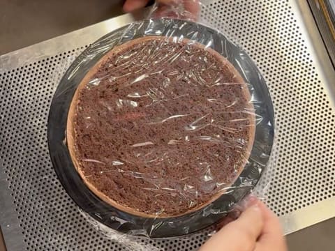 Dark Chocolate & Vanilla Pecan Praline Entremets - 173