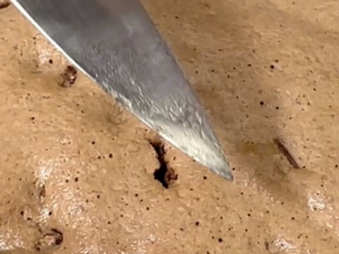 Dark Chocolate & Vanilla Pecan Praline Entremets - 80