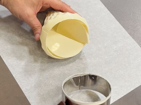 Christmas Tree Entremets with Redcurrant, Blackcurrant & Vanilla - 103