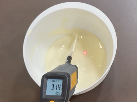 Christmas Tree Entremets with Redcurrant, Blackcurrant & Vanilla - 12