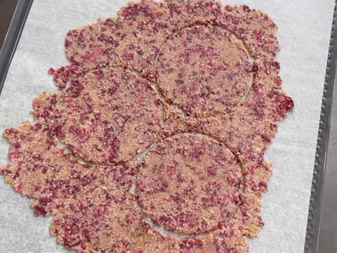 Christmas Tree Entremets with Redcurrant, Blackcurrant & Vanilla - 127